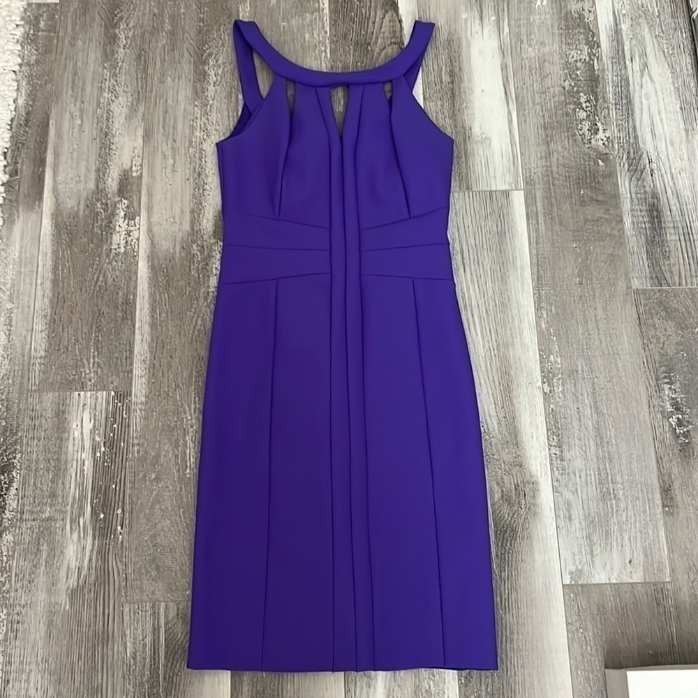 Zara Purple Dress